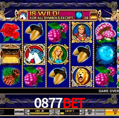 0877bet Salvador - Bonus Stats